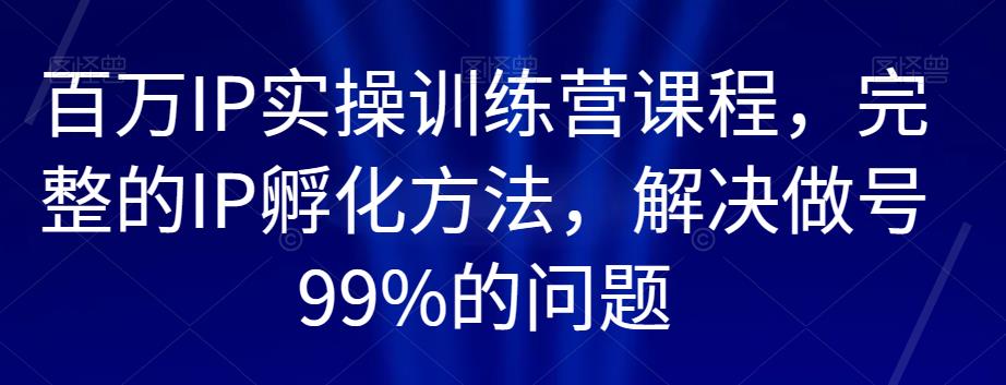 百万IP实操训练营课程，完整的IP孵化方法，解决做号99%的问题-九盟副业网