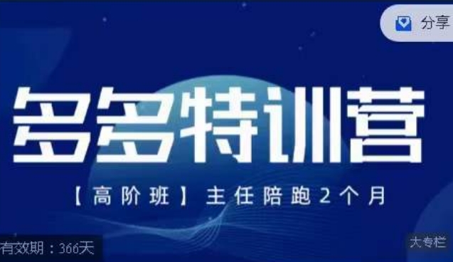 纪主任·多多特训营高阶班【9月13日更新】，拼多多最新玩法技巧落地实操-九盟副业网