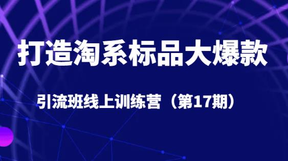 打造淘系标品大爆款引流班线上训练营（第17期）5天直播授课-九盟副业网