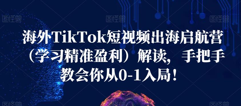 海外TikTok短视频出海启航营（学习精准盈利）解读，手把手教会你从0-1入局！-九盟副业网