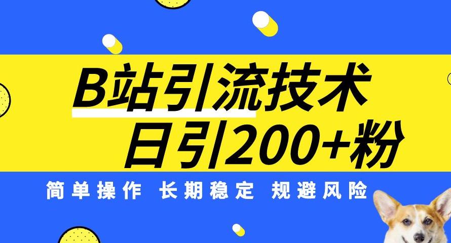 B站引流技术：每天引流200精准粉，简单操作，长期稳定，规避风险-九盟副业网