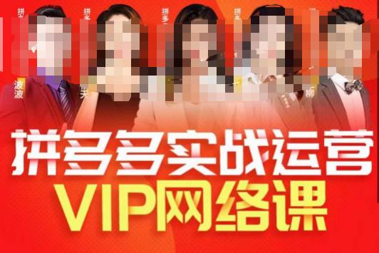 推易拼多多VIP全套直播课程，拼多多店铺实操玩法+实战玩法选款内功+直通车高阶等-九盟副业网