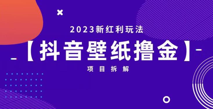 抖音壁纸小程序创作者撸金项目，2023新红利玩法【项目拆解】-九盟副业网