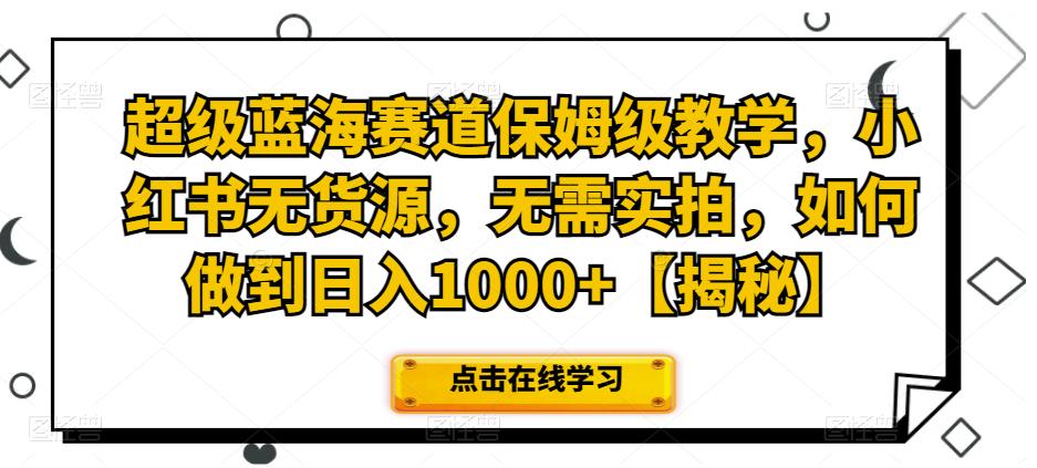 超级蓝海赛道保姆级教学，小红书无货源，无需实拍，如何做到日入1000+【揭秘】-九盟副业网