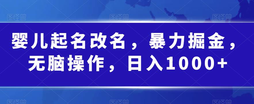 婴儿起名改名，暴力掘金，无脑操作，日入1000+【揭秘】