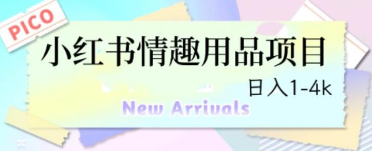 最新小红书情趣用品项目，日入1-4k【仅揭秘】-九盟副业网