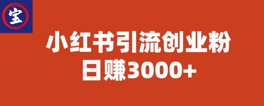 宝哥小红书引流创业粉，日赚3000+【揭秘】-九盟副业网