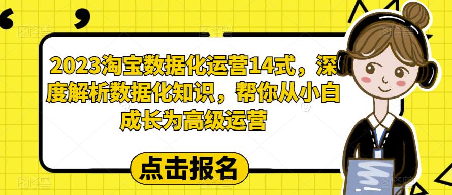 2023淘宝数据化运营14式，深度解析数据化知识，帮你从小白成长为高级运营-九盟副业网