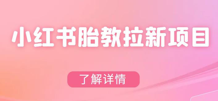 蓝海项目，小红书塔罗占卜，门槛低，传播快，一部手机月入3w+【揭秘】