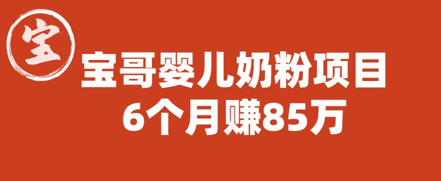 宝哥婴儿奶粉项目，6个月赚85w【图文非视频】【揭秘】-九盟副业网