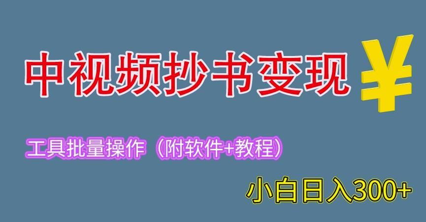 2023中视频抄书变现（附工具+教程），一天300+，特别适合新手操作的副业（揭秘）-九盟副业网