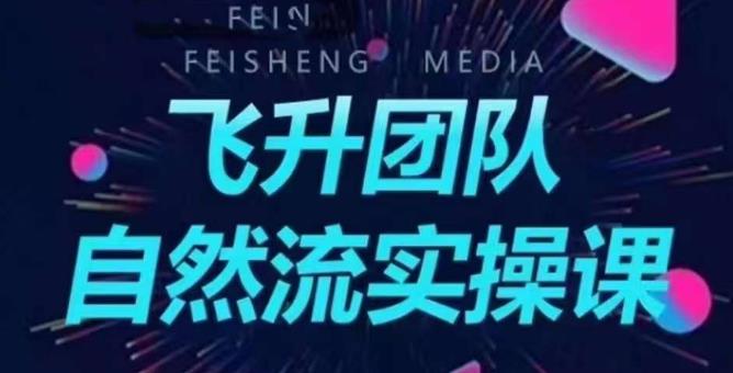 飞升团队课程自然流实操课，抖音半无人起号主播间搭建教学-九盟副业网