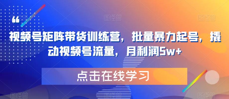 视频号矩阵带货训练营，批量暴力起号，撬动视频号流量，月利润5w+-九盟副业网