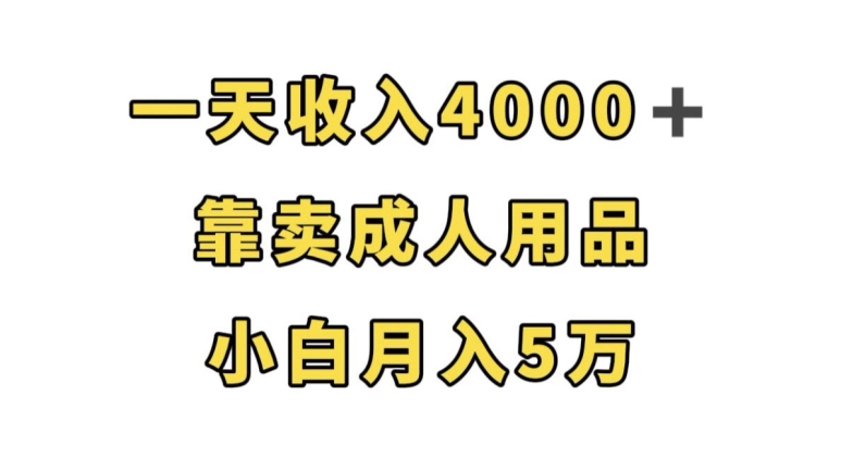 一天收入4000+，靠卖成人用品，小白轻松月入5万【揭秘】-九盟副业网