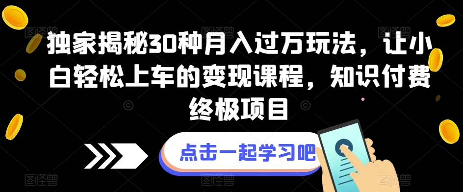 独家揭秘30种月入过万玩法，让小白轻松上车的变现课程，知识付费终极项目【揭秘】-九盟副业网