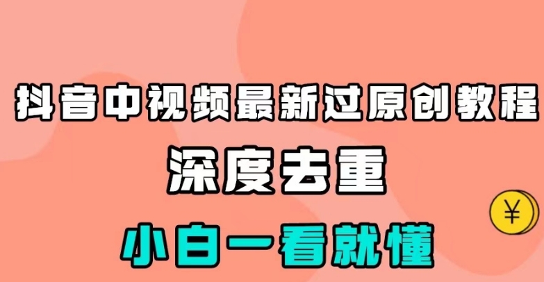 抖音中视频最新过原创教程，深度去重，小白一看就懂【揭秘】-九盟副业网