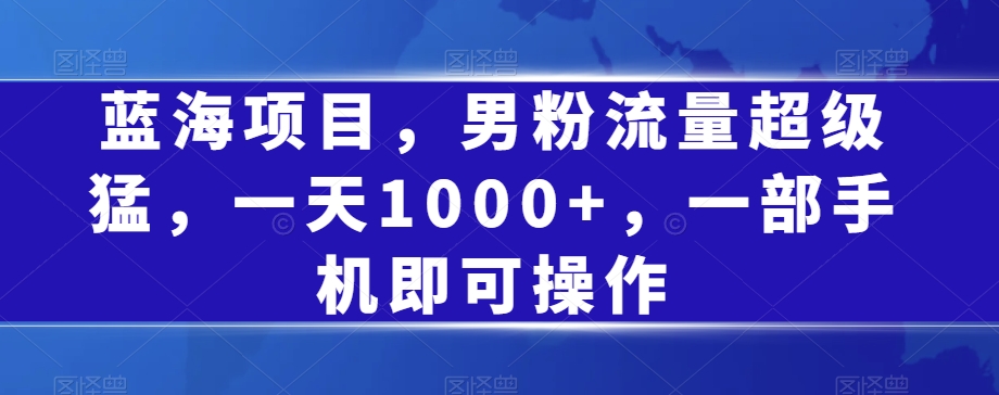 蓝海项目，男粉流量超级猛，一天1000+，一部手机即可操作【揭秘】-九盟副业网