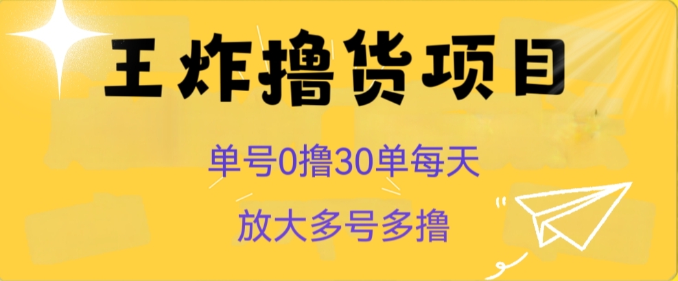 王炸撸货项目，单号0撸30单每天，多号多撸【揭秘】-九盟副业网