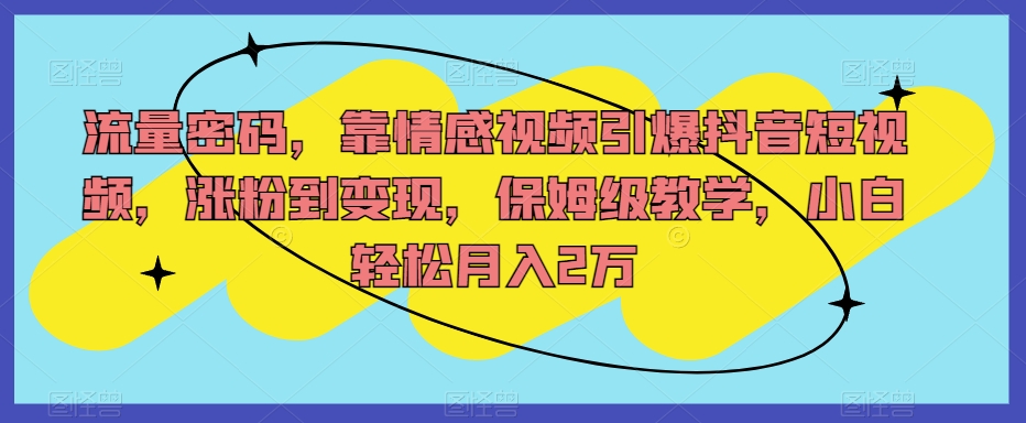 流量密码，靠情感视频引爆抖音短视频，涨粉到变现，保姆级教学，小白轻松月入2万【揭秘】-九盟副业网