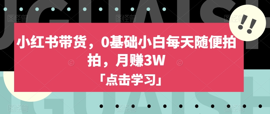 小红书带货，0基础小白每天随便拍拍，月赚3W【揭秘】-九盟副业网