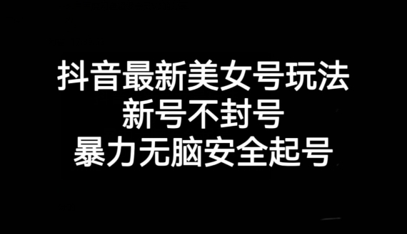 抖音最新美女号玩法，新号不封号，暴力无脑安全起号【揭秘】-九盟副业网