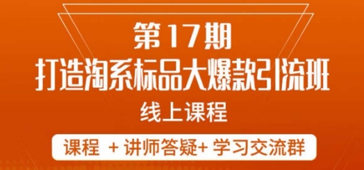 南掌柜-第17期打造淘系标品大爆款，5天线上课-九盟副业网