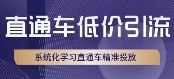 直通车低价引流课，系统化学习直通车精准投放-九盟副业网