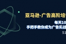 亚马逊-广告高阶培训班，每天10分钟，手把手教你成为广告实战高手（51节）_七哥副业网-九盟副业网