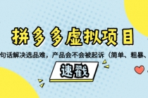 拼多多虚拟项目：三两句话解决选品难，产品会不会被起诉（简单、粗暴、…_七哥副业网-九盟副业网