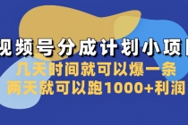 视频号分成计划小项目：几天时间就可以爆一条，两天就可以跑1000+利润_七哥副业网-九盟副业网