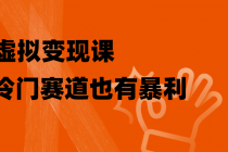 虚拟变现课，冷门赛道也有暴利，手把手教你玩转冷门私域_七哥副业网-九盟副业网