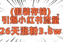 假装存钱，引爆小红书流量， 26天涨粉3.8w，作品制作简单，多种变现方式_七哥副业网-九盟副业网