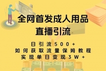 最新全网独创首发，成人用品直播引流获客暴力玩法，单日变现3w保姆级教程_七哥副业网-九盟副业网