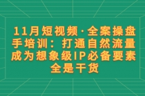 11月短视频·全案操盘手培训：打通自然流量 成为想象级IP必备要素 全是干货_七哥副业网-九盟副业网