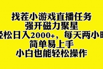 找茬小游戏直播，强开磁力聚星，轻松日入2000+，小白也能轻松上手_七哥副业网-九盟副业网