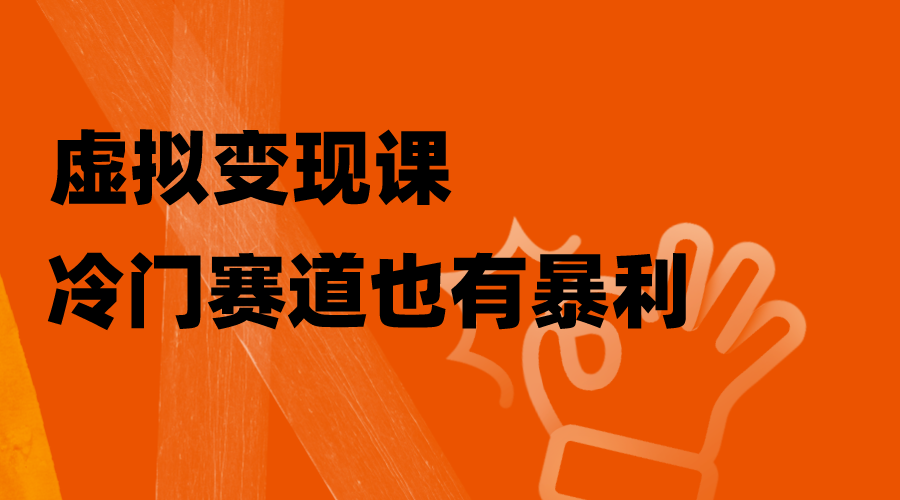 （8219期）虚拟变现课，冷门赛道也有暴利，手把手教你玩转冷门私域-九盟副业网