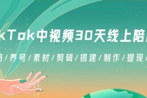 TikTok中视频-30天线上陪跑班：注册/养号/素材/剪辑/搭建/制作/提现/等等_七哥副业网-九盟副业网