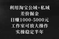 利用淘宝公域+私域差价掘金，日赚1000-5000元，工作室可放大操作，实操…_七哥副业网-九盟副业网