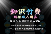 2024普通人做知识付费结合成人用品如何实现单月变现30w 保姆教学1.0_七哥副业网-九盟副业网